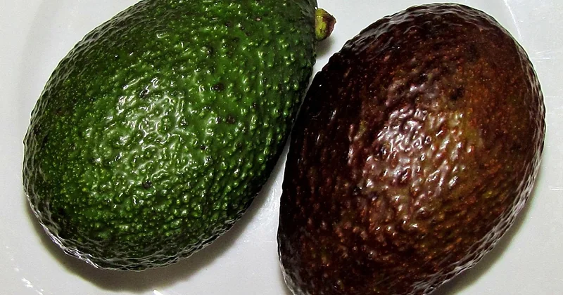 Les vrais ingrédients d'une recette guacamole mexicaine